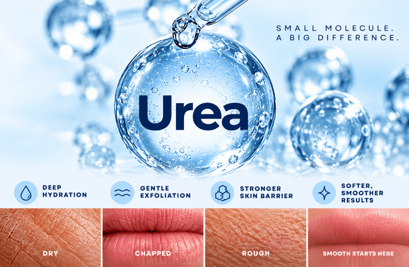 Homepage banner featuring a large water-filled sphere labeled “Urea” with visible text saying “Small Molecule. A Big Difference.” Icons highlight Deep Hydration, Gentle Exfoliation, Stronger Skin Barrier, and Softer, Smoother Results. Lower panels show skin conditions labeled Dry, Chapped, Rough, and Smooth Starts Here.